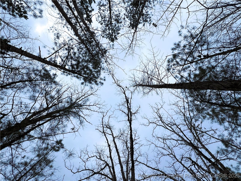 Johnsonville School Road Cameron, NC 28326 - Photo 19 of 19 Tree Top view