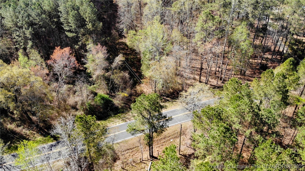Johnsonville School Road Cameron, NC 28326 - Photo 3 of 19 Above Johnsonville School Rd view
