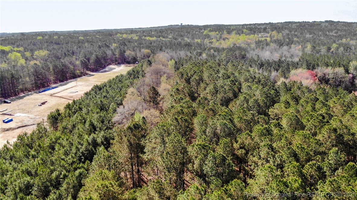 Johnsonville School Road Cameron, NC 28326 - Photo 6 of 19 Addl View