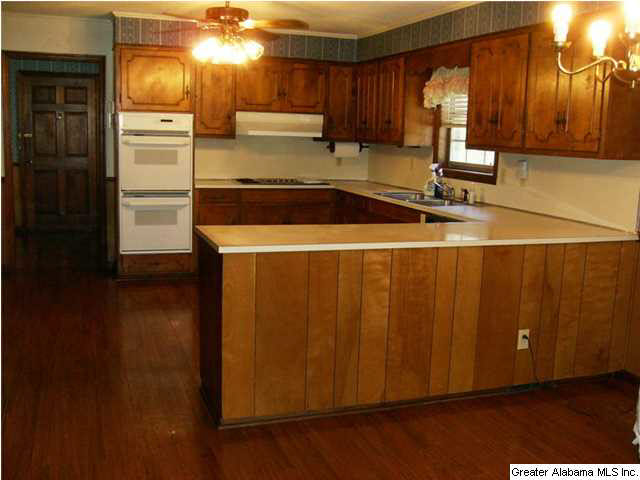 1501 Lay Dam Road Clanton, AL 35045 - Photo 5 of 11