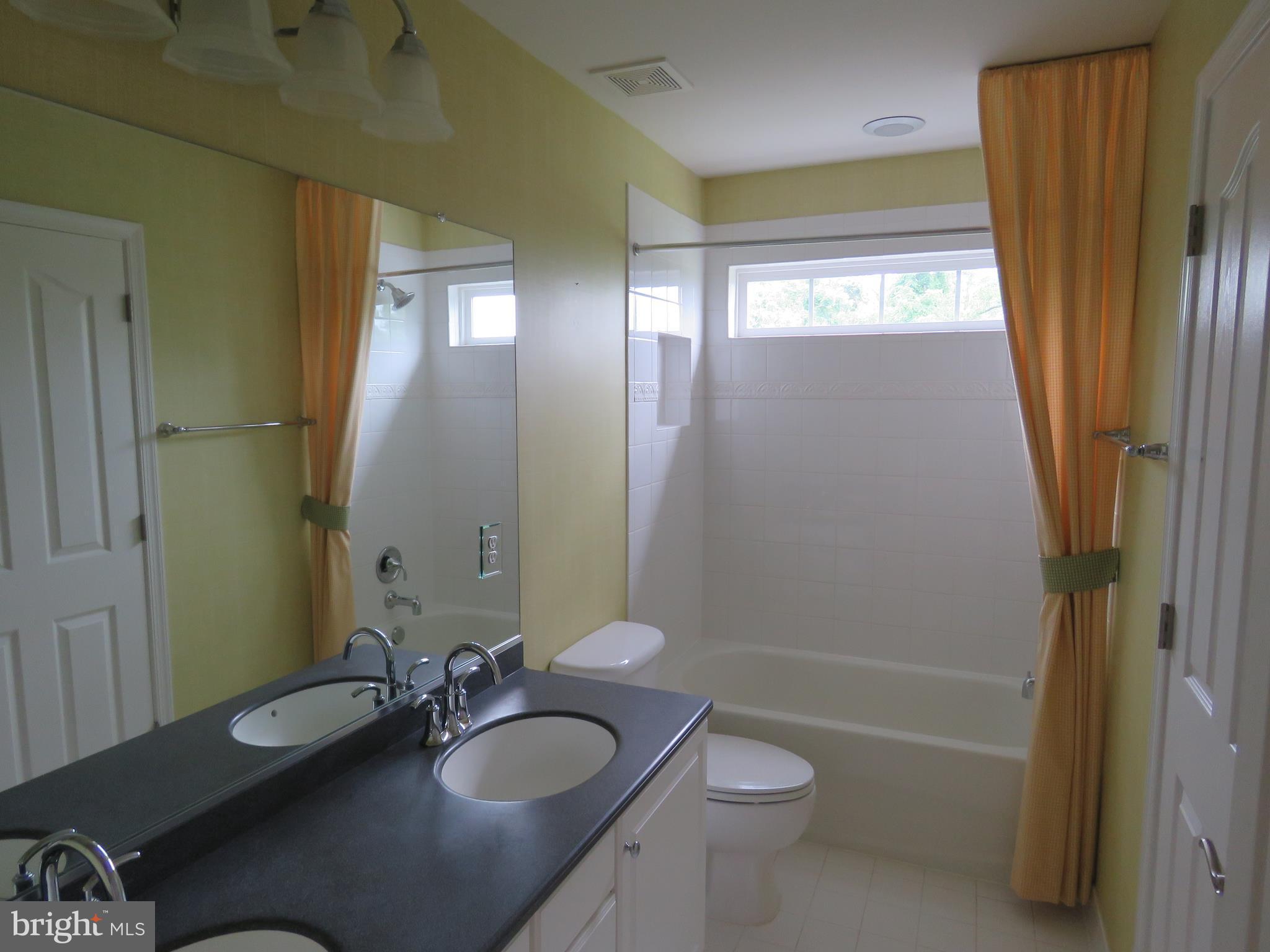 124 Standpipe Road Culpeper, VA 22701 - Photo 19 of 30 hall bath w/ dbl. vanity
