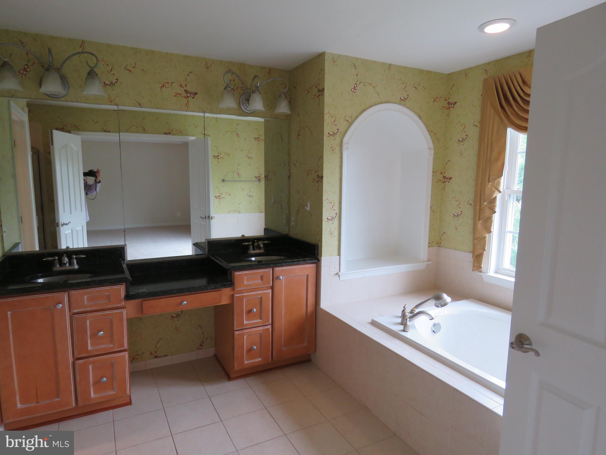 124 Standpipe Road Culpeper, VA 22701 - Photo 21 of 30 what a Master bath!!