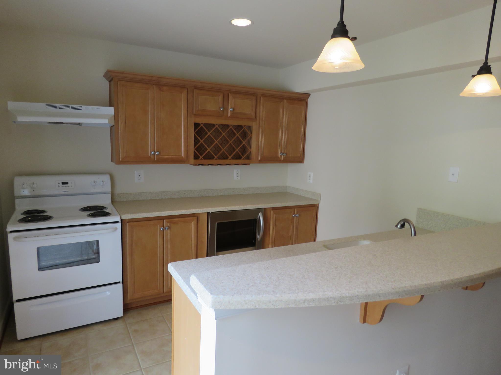 124 Standpipe Road Culpeper, VA 22701 - Photo 27 of 30 2nd kitchen located in basement
