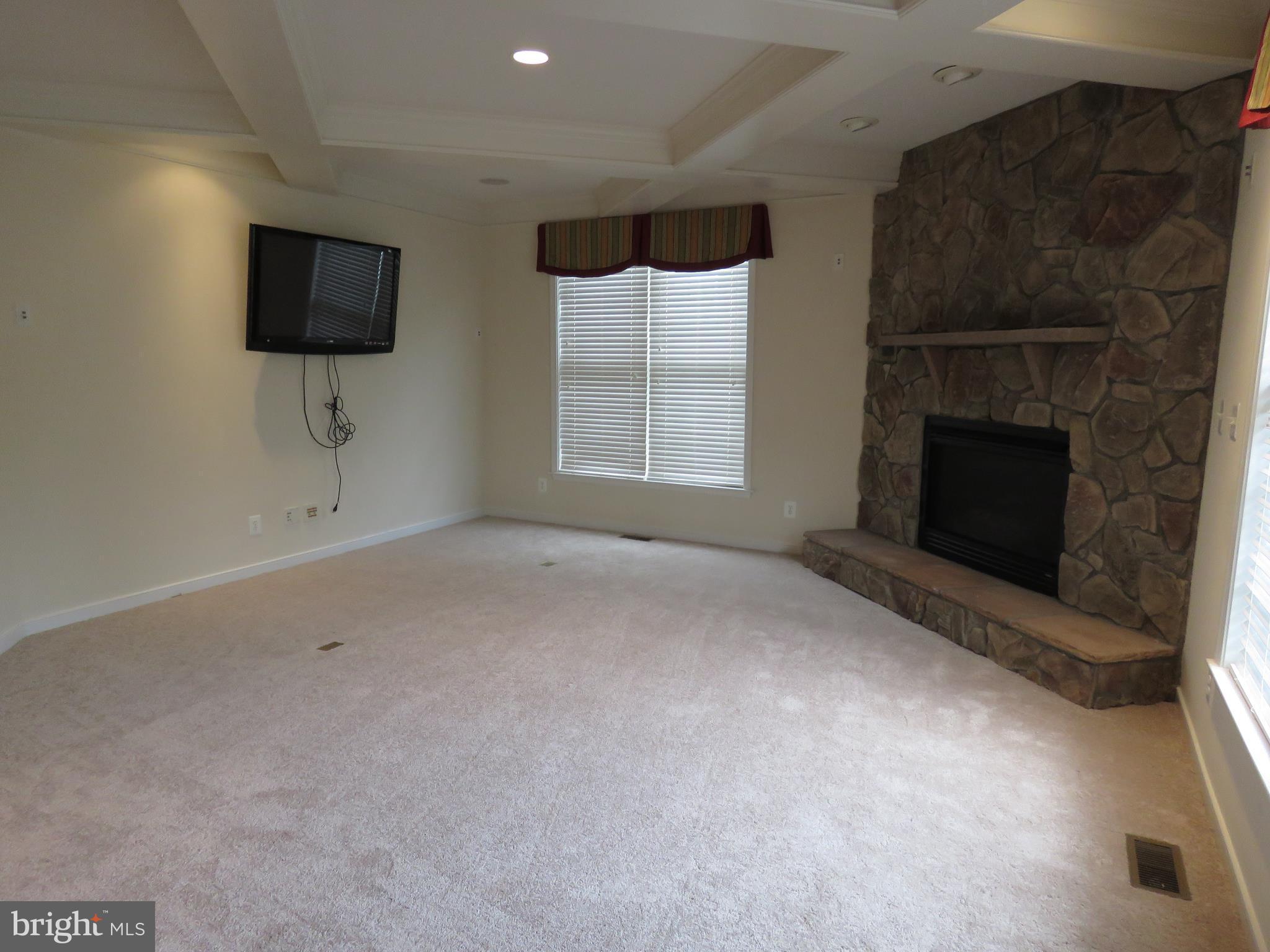 124 Standpipe Road Culpeper, VA 22701 - Photo 8 of 30 custom ceilings, fireplace, bright and spacious