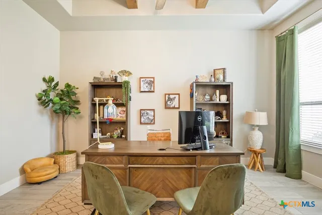a living room with furniture and potted plant