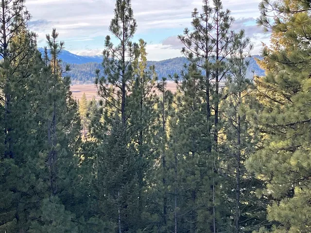 $319,000 | 11 Augustus Way, Unit 2, Cascade, ID 83611