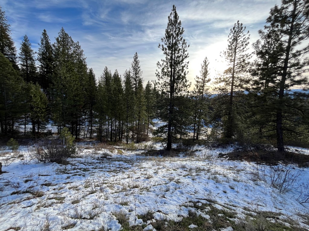 11 Augustus Way, Unit 2 Cascade, ID 83611 - Photo 4 of 13 Imagine Your Mountain Home