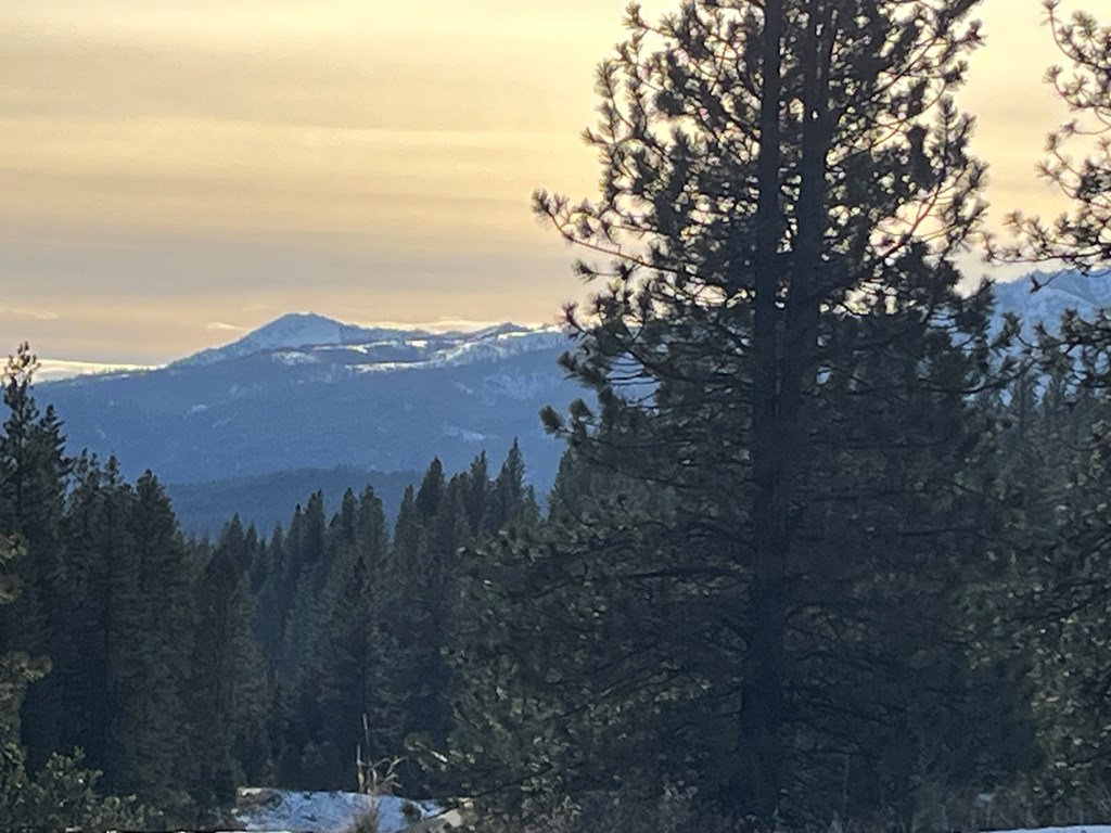 11 Augustus Way, Unit 2 Cascade, ID 83611 - Photo 5 of 13 Take In Mountain View