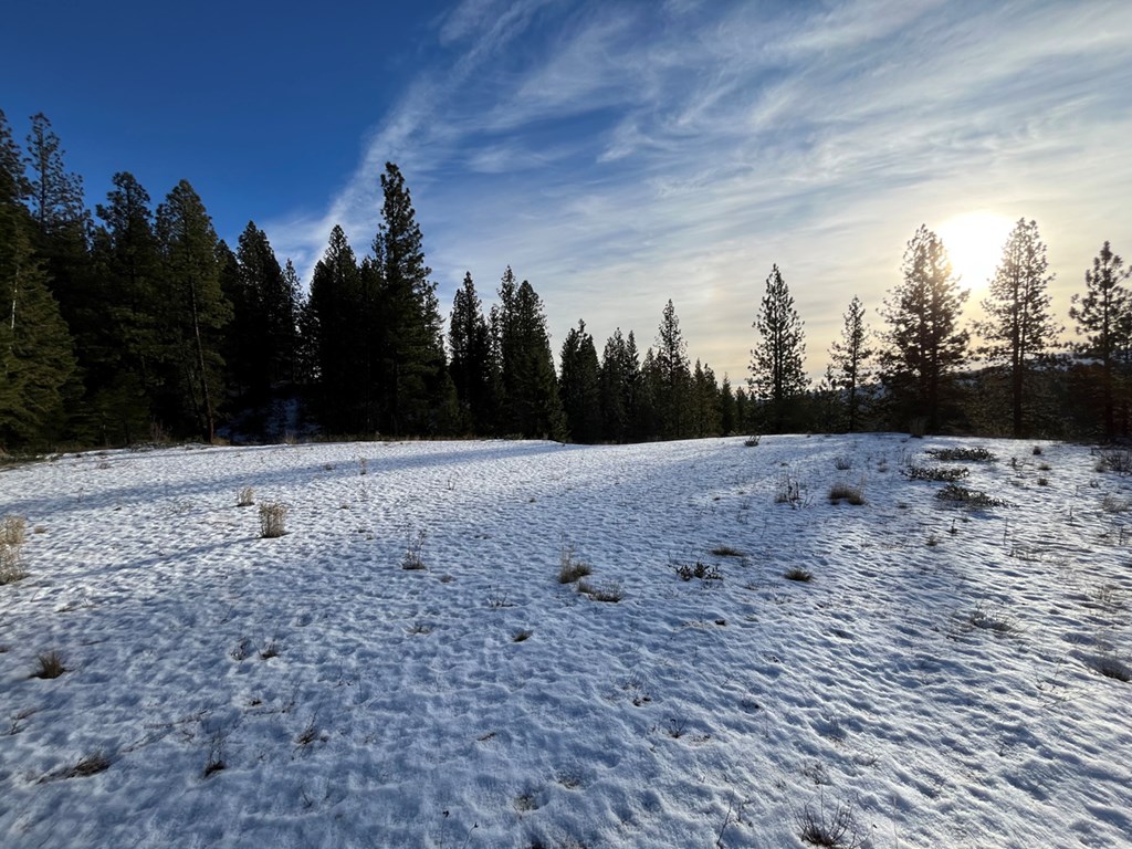 11 Augustus Way, Unit 2 Cascade, ID 83611 - Photo 7 of 13 Borders Public Land