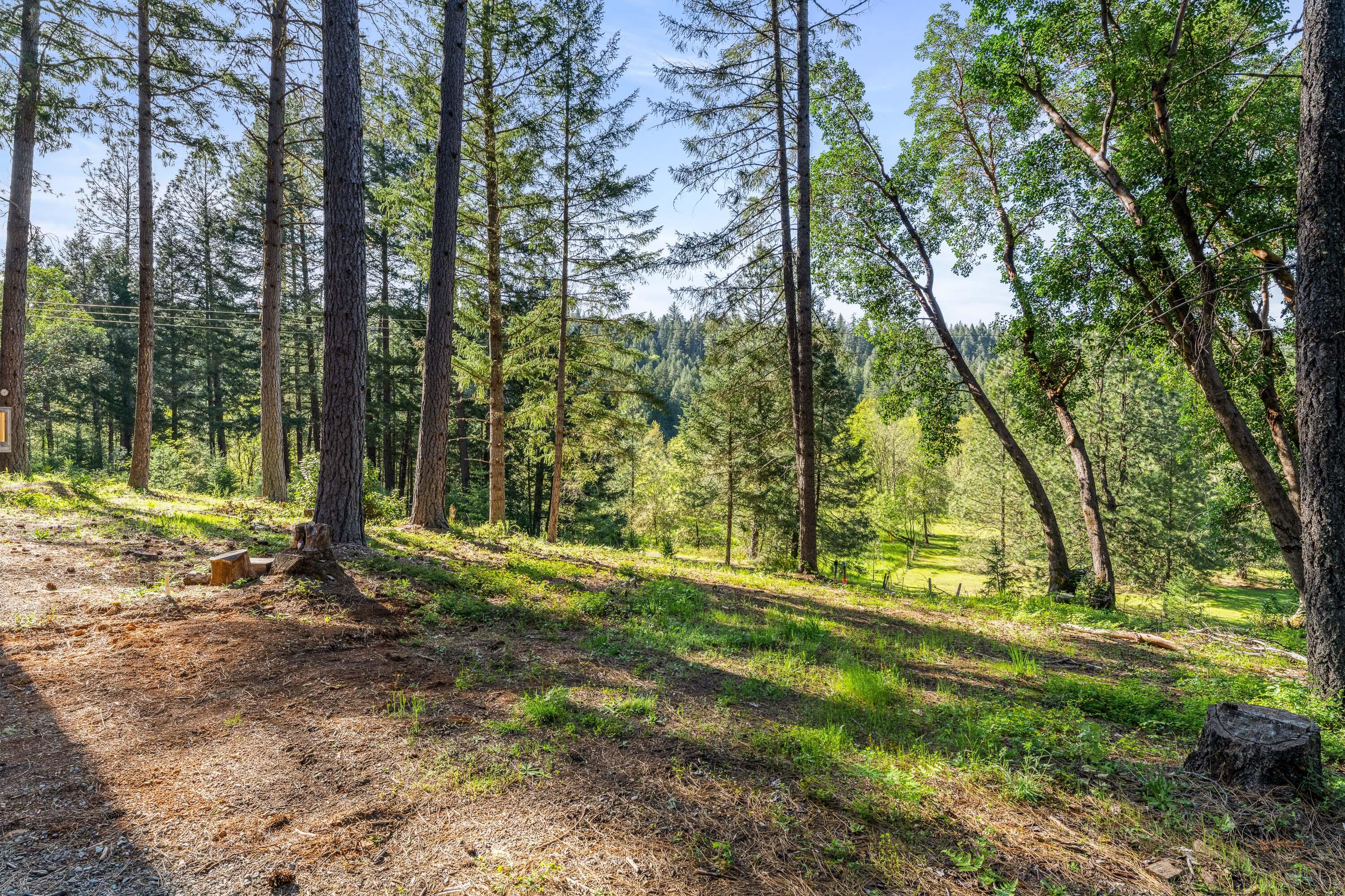 1201 Reeves Creek Road Selma, OR 97538 - Photo 32 of 38 a view of outdoor space with trees all around
