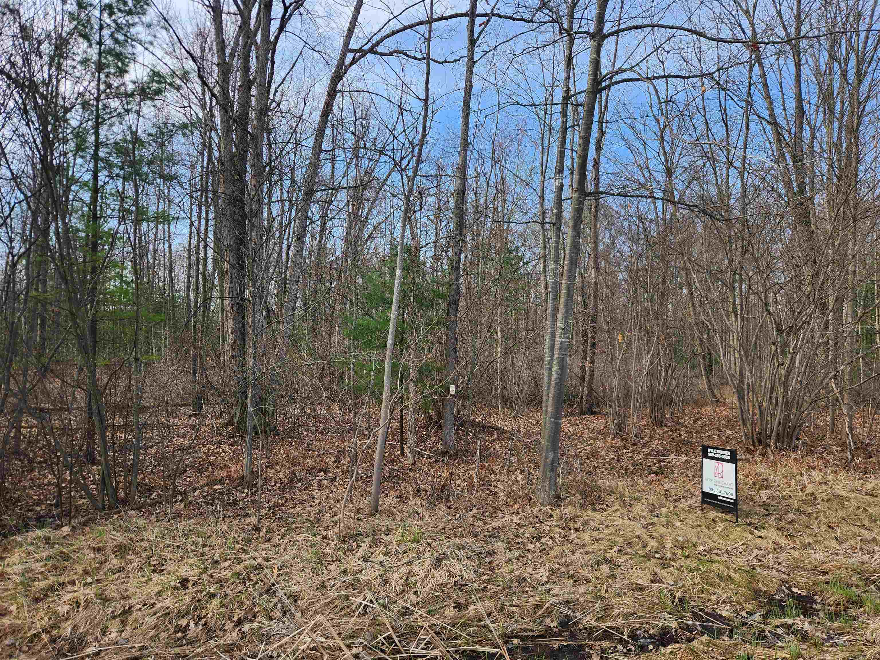 V/l West Howard Road Gladwin, MI 48624 - Photo 4 of 10