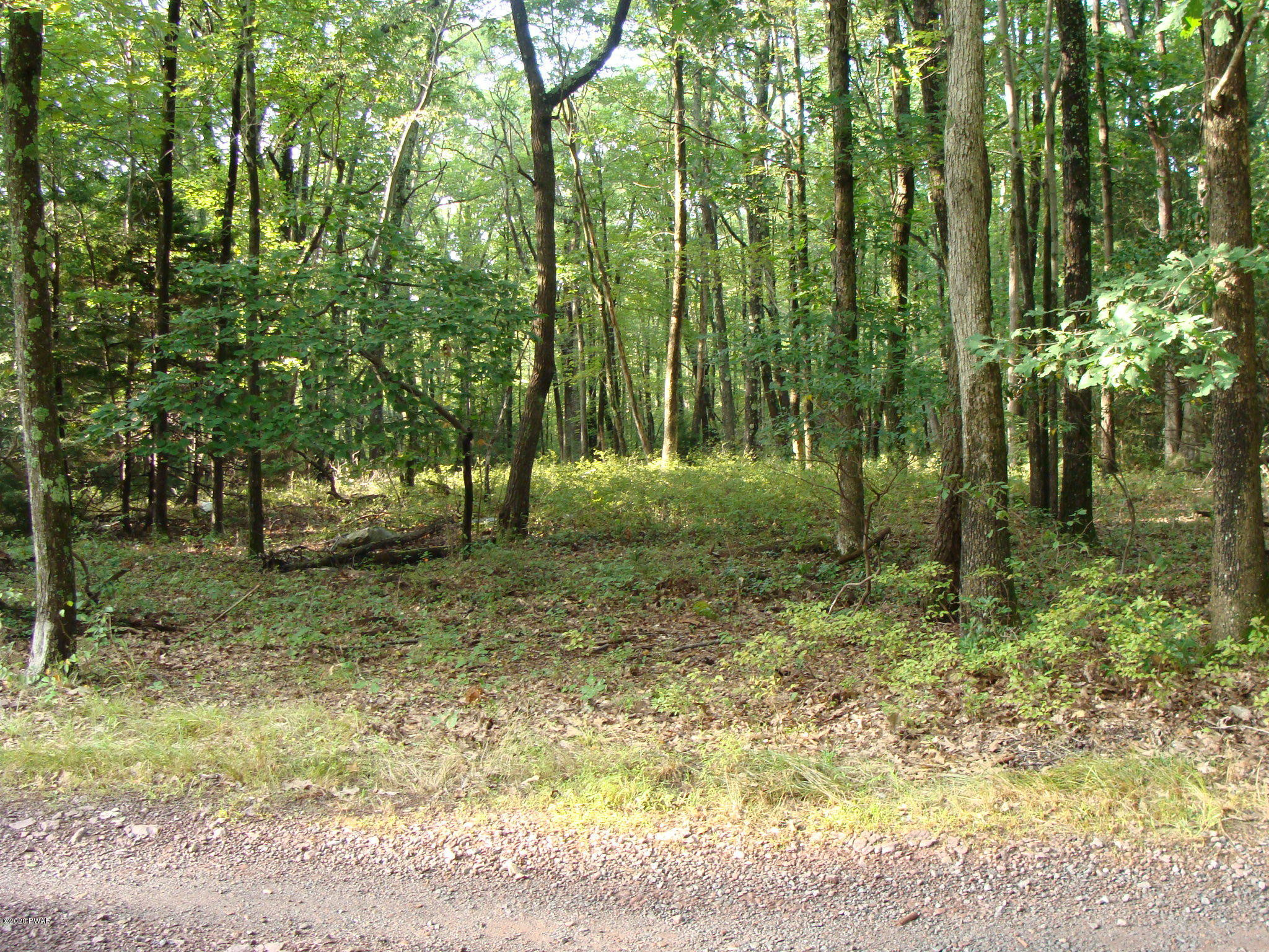 Perry Road Greentown, PA 18426 - Photo 1 of 4