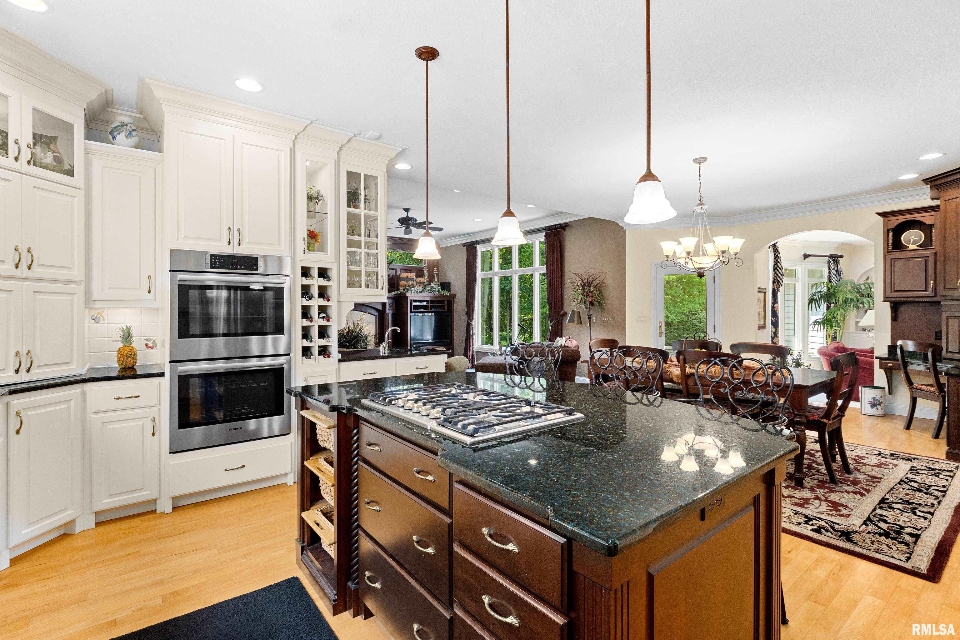 11518 North Nettle Creek Drive Dunlap, IL 61525 - Photo 14 of 61