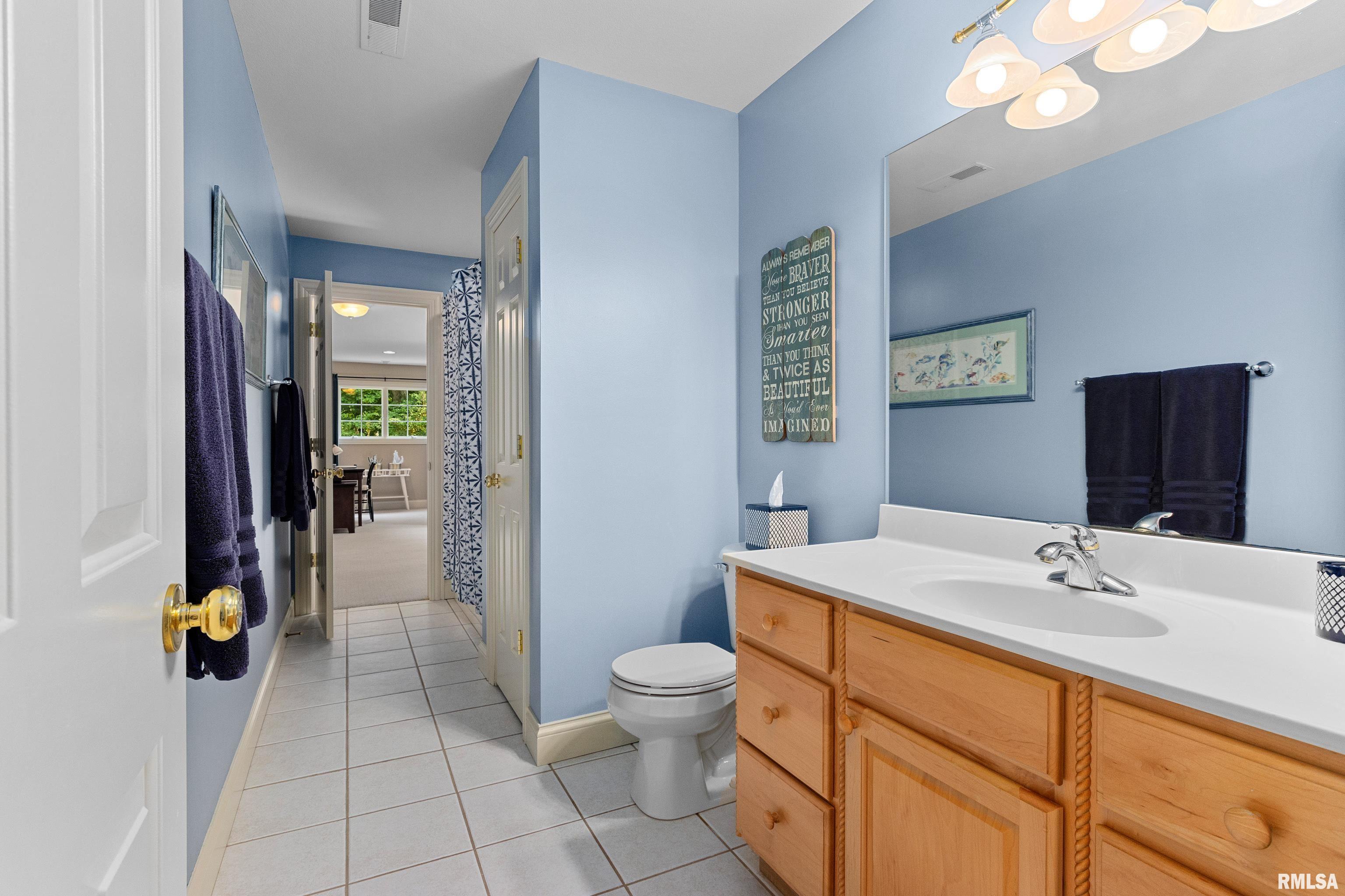 11518 North Nettle Creek Drive Dunlap, IL 61525 - Photo 40 of 61