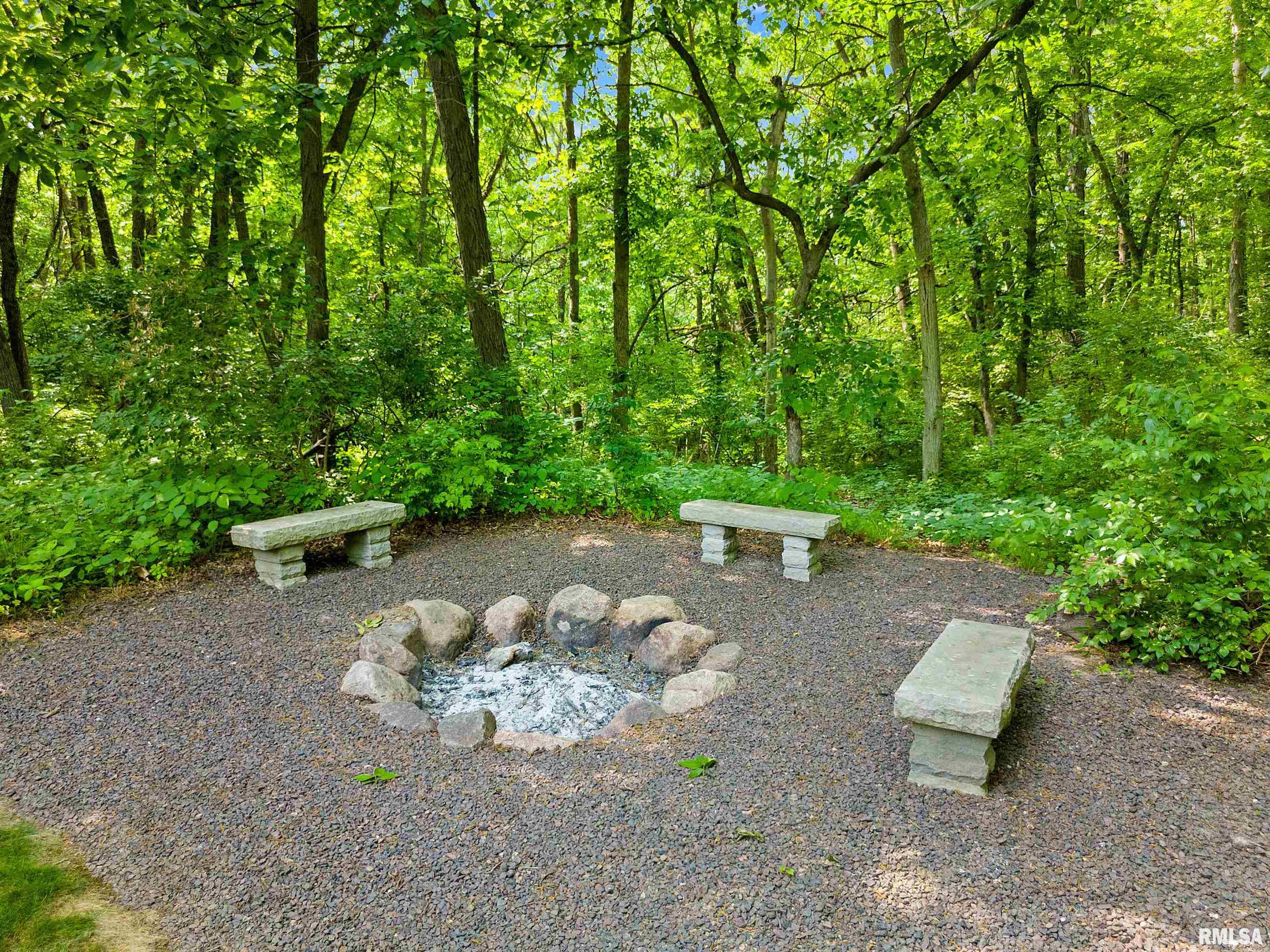 11518 North Nettle Creek Drive Dunlap, IL 61525 - Photo 55 of 61