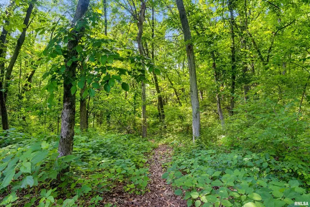 $929,900 | 11518 North Nettle Creek Drive, Dunlap, IL 61525