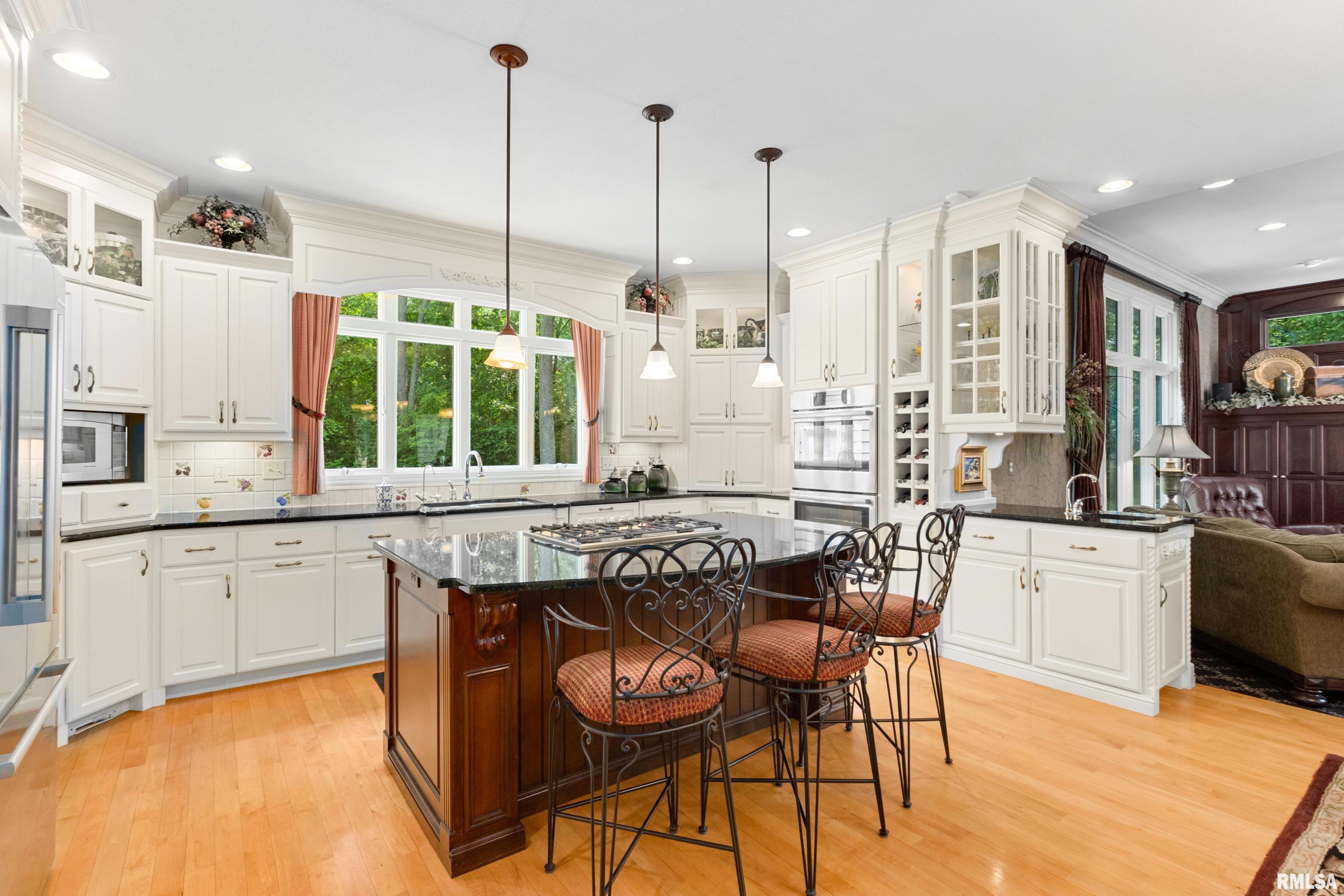 11518 North Nettle Creek Drive Dunlap, IL 61525 - Photo 10 of 61