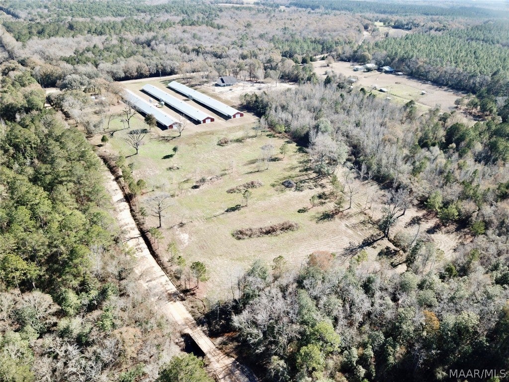 2799 Alford Road Samson, AL 36477 - Photo 30 of 35 Gallery Image 30