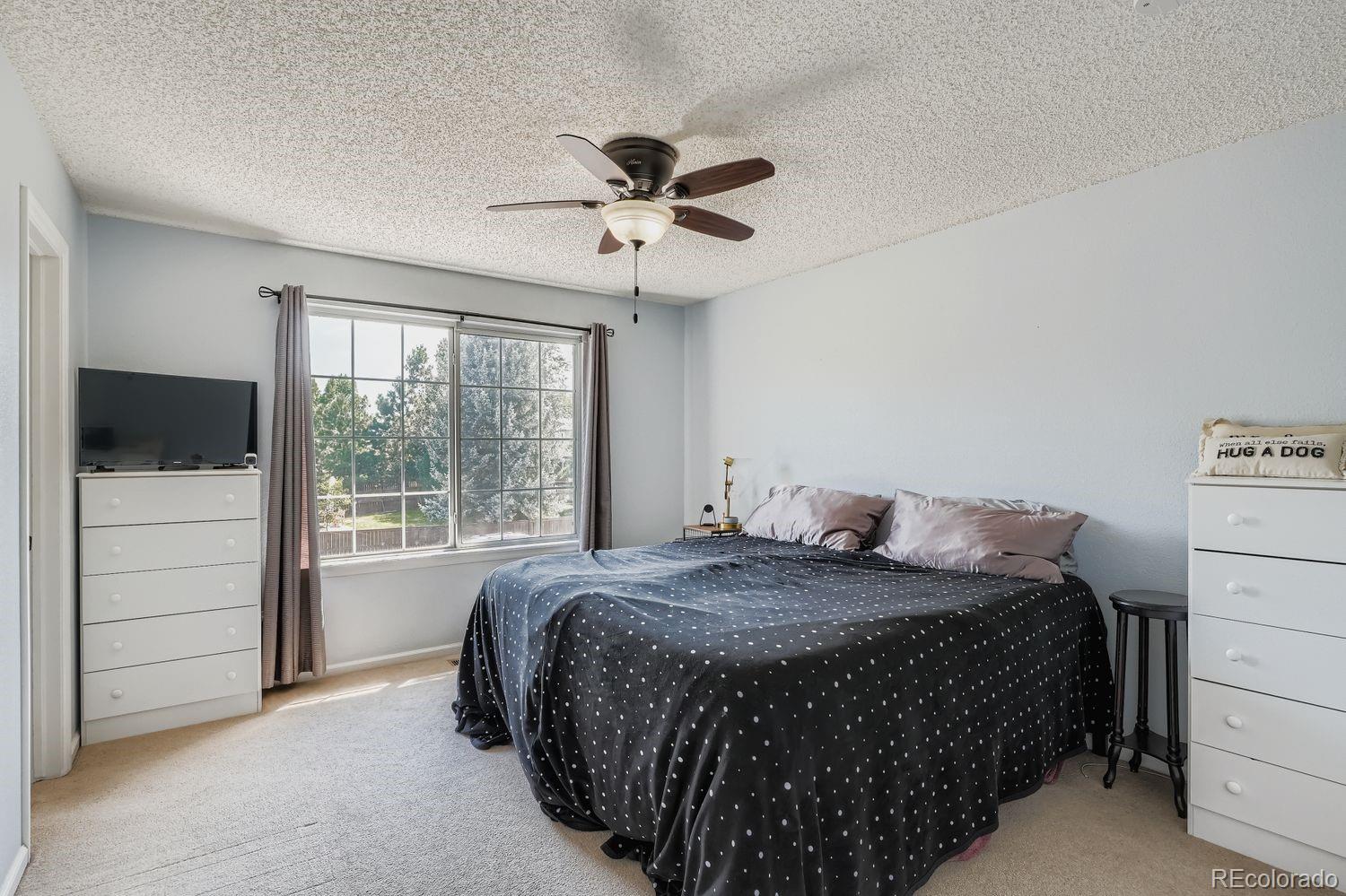 10672 Hyacinth Street Highlands Ranch, CO 80129 - Photo 14 of 23