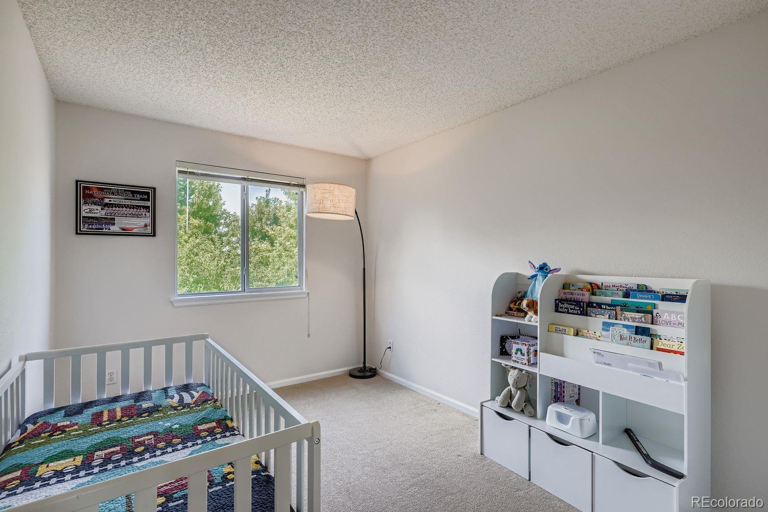 10672 Hyacinth Street Highlands Ranch, CO 80129 - Photo 16 of 23