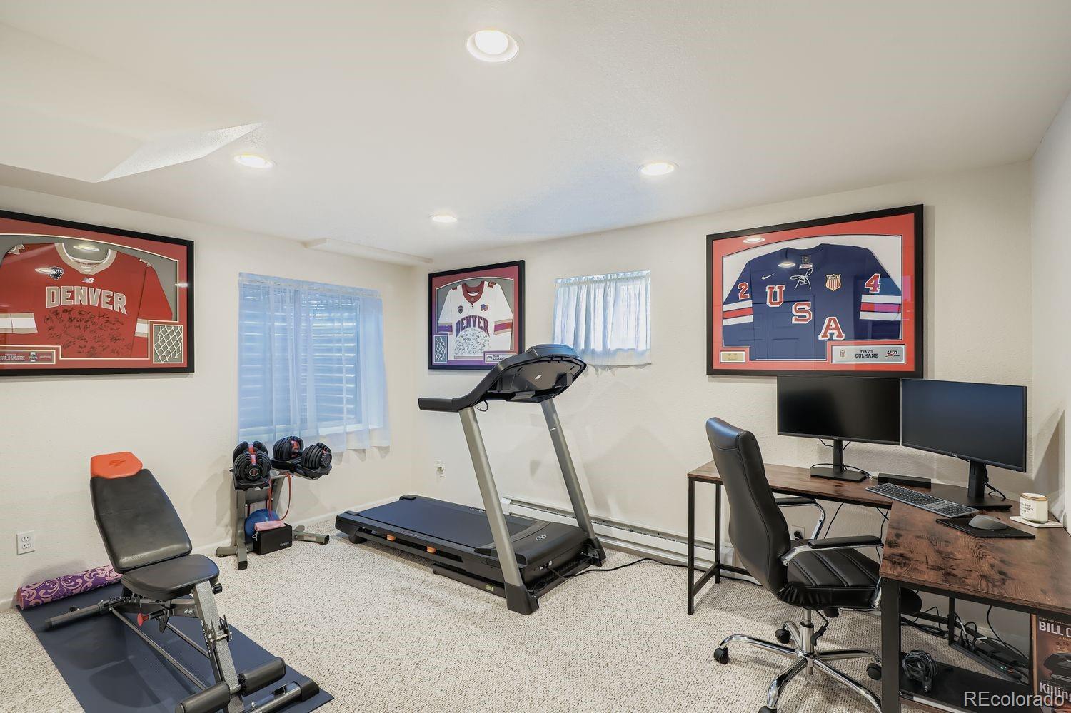 10672 Hyacinth Street Highlands Ranch, CO 80129 - Photo 19 of 23