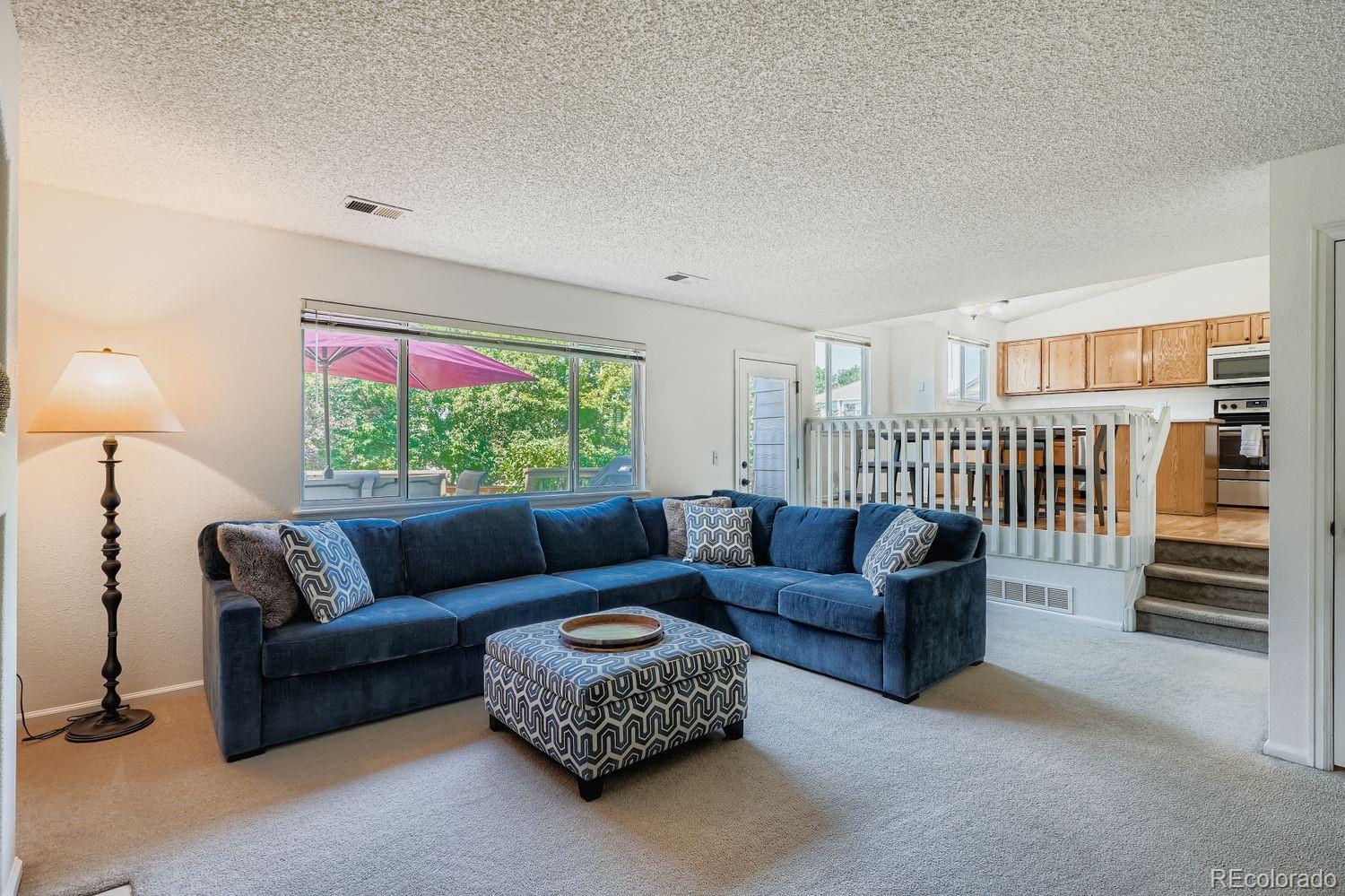 10672 Hyacinth Street Highlands Ranch, CO 80129 - Photo 9 of 23