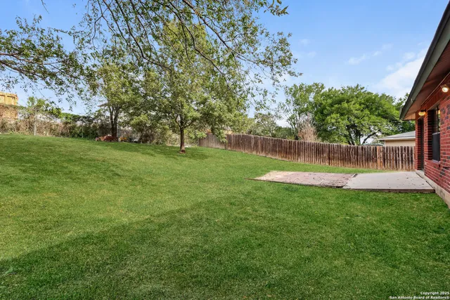 a view of a park with large trees