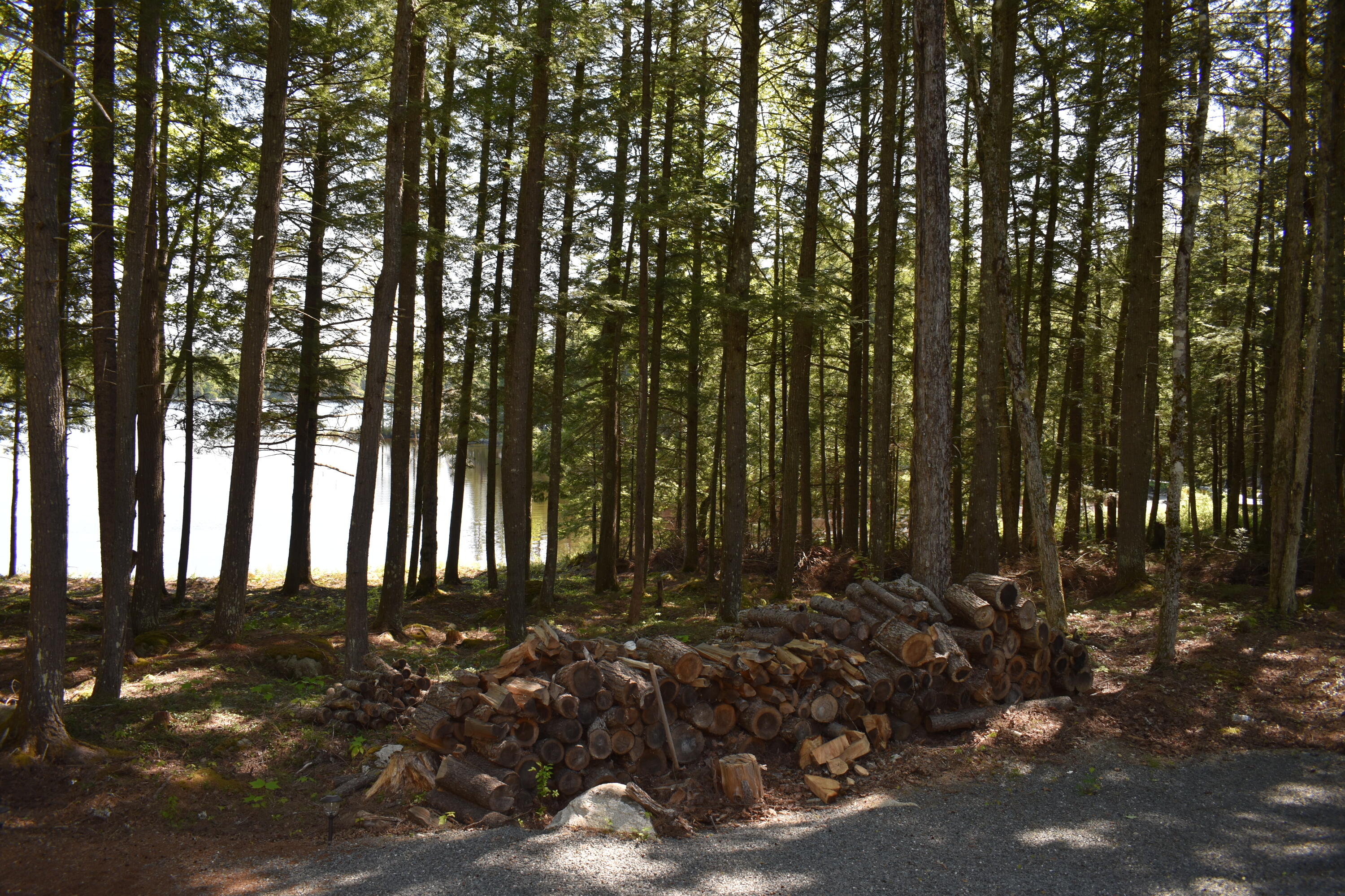 18 Spruce Point Road Lowell, ME 04493 - Photo 42 of 49 DSC_0050