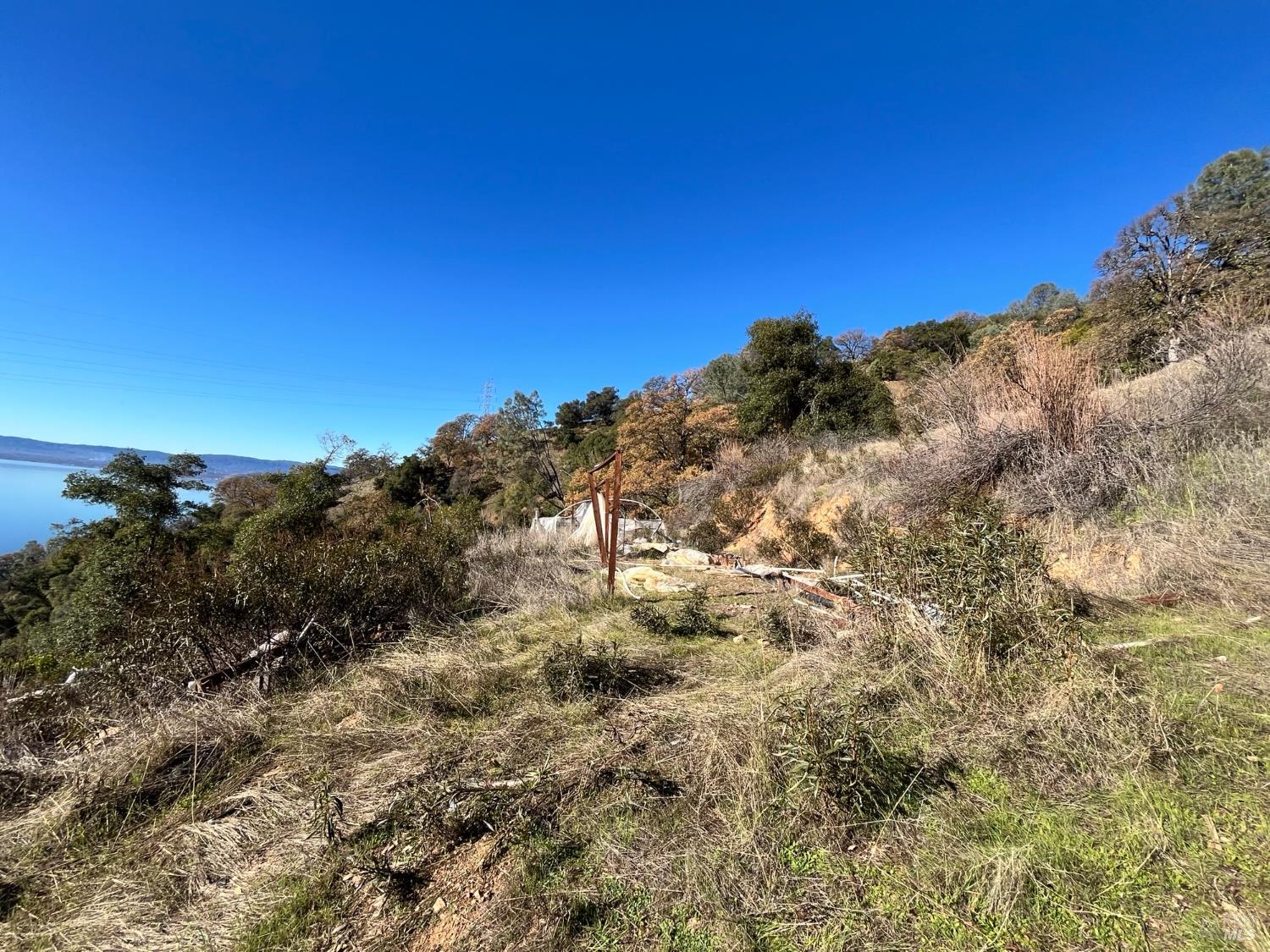 6319 Aileen Trail Lucerne, CA 95458 - Photo 3 of 9 a view of a dry yard with trees in the background