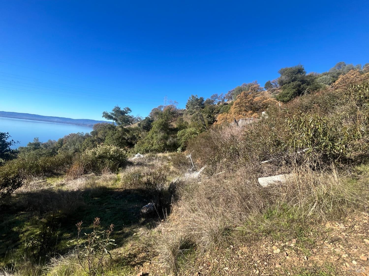 6319 Aileen Trail Lucerne, CA 95458 - Photo 4 of 9 a view of a yard
