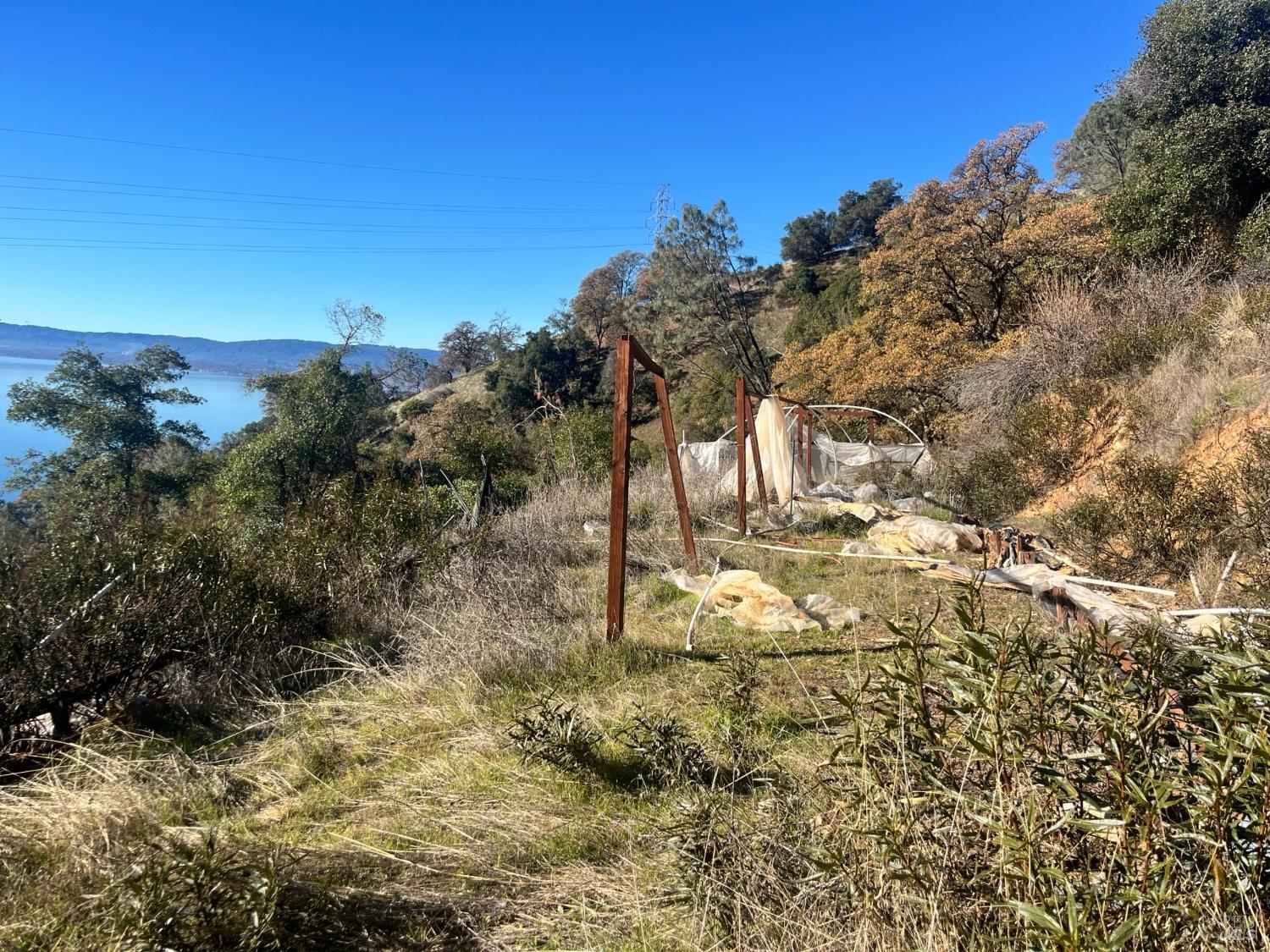 6319 Aileen Trail Lucerne, CA 95458 - Photo 5 of 9 a view of a yard with trees