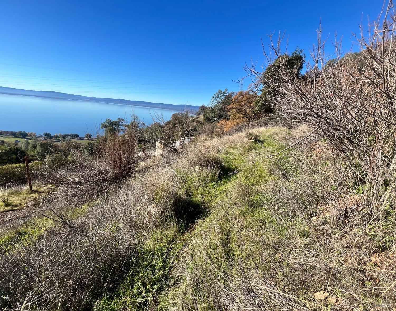 6319 Aileen Trail Lucerne, CA 95458 - Photo 6 of 9 a view of a bunch of trees and bushes