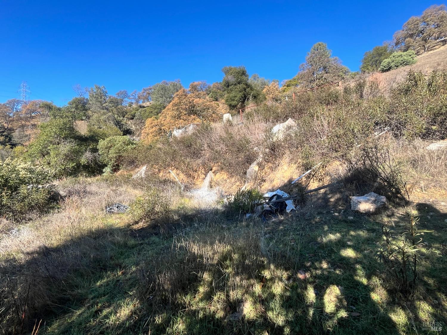 6319 Aileen Trail Lucerne, CA 95458 - Photo 9 of 9 a view of a tree