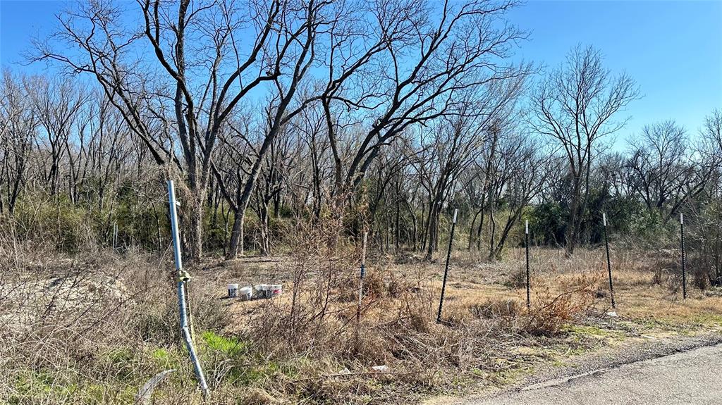 5412 Railroad Avenue Dallas, TX 75210 - Photo 3 of 6 a backyard of a house with lots of green space