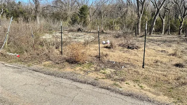 a view of a yard with trees