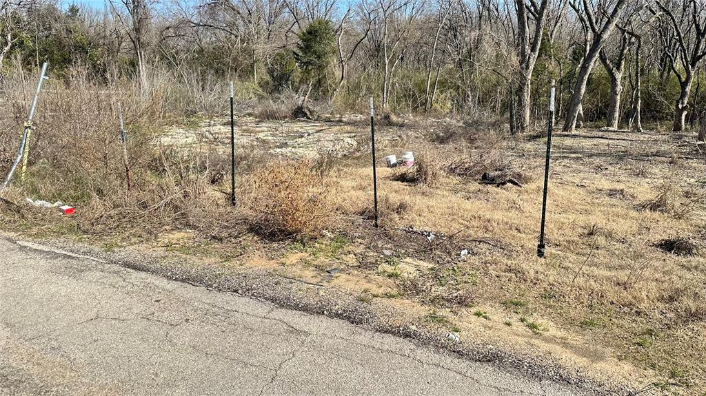 5412 Railroad Avenue Dallas, TX 75210 - Photo 4 of 6 a view of a yard with trees