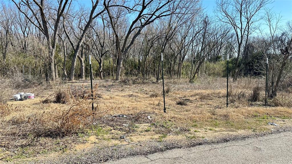 5412 Railroad Avenue Dallas, TX 75210 - Photo 5 of 6 a view of a yard covered with snow in the background