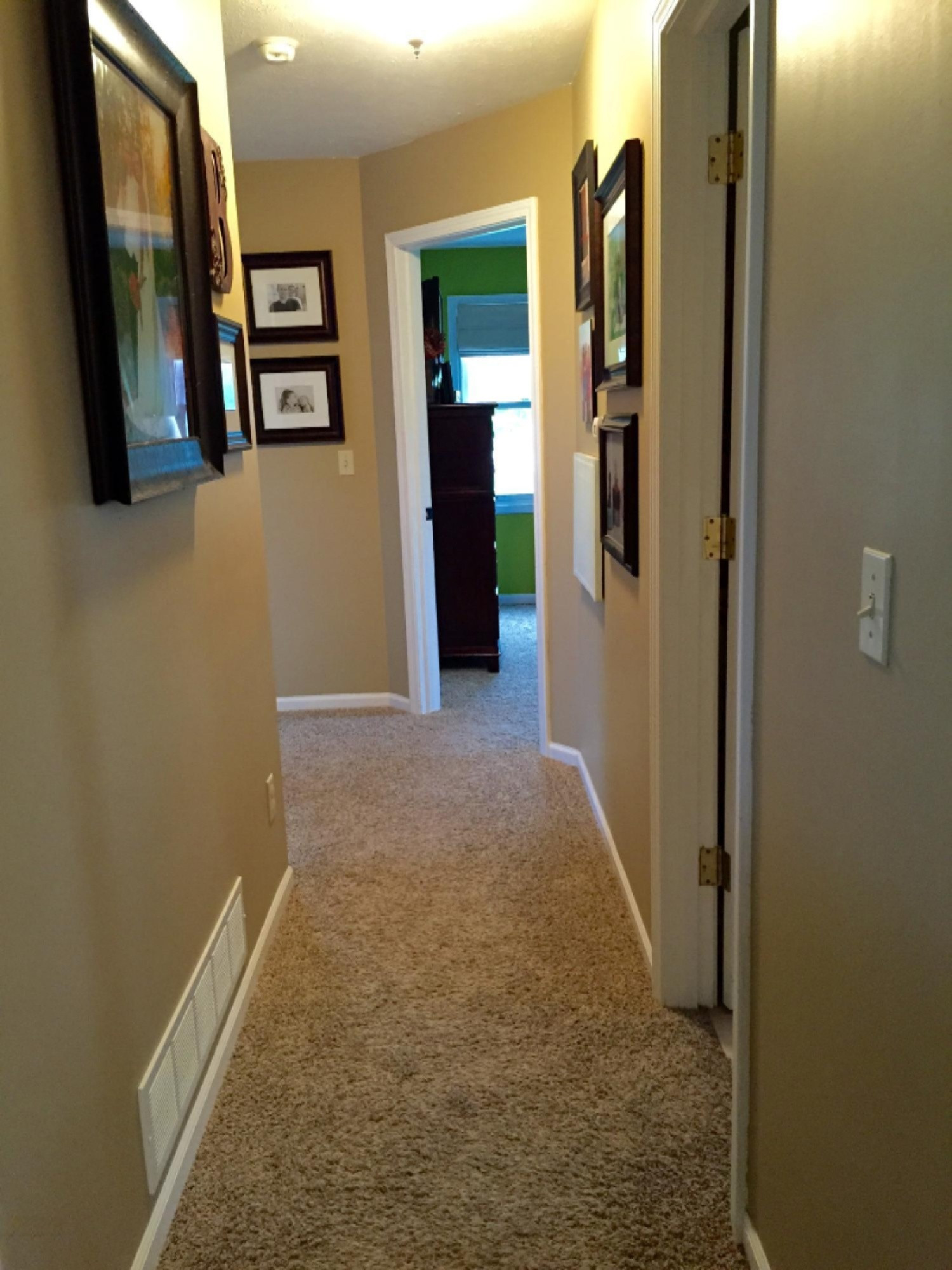54555 Ridgeview Circle Paw Paw, MI 49079 - Photo 8 of 21 Main Floor Hallway