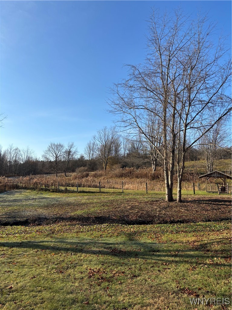 8483 North Otto Road Otto, NY 14719 - Photo 27 of 48