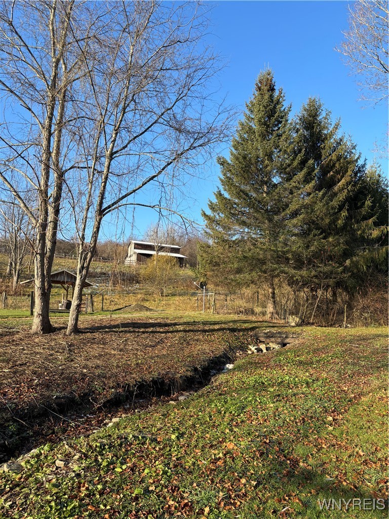 8483 North Otto Road Otto, NY 14719 - Photo 28 of 48