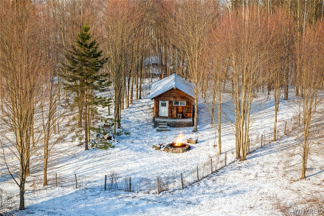 8483 North Otto Road Otto, NY 14719 - Photo 29 of 45 Cabin