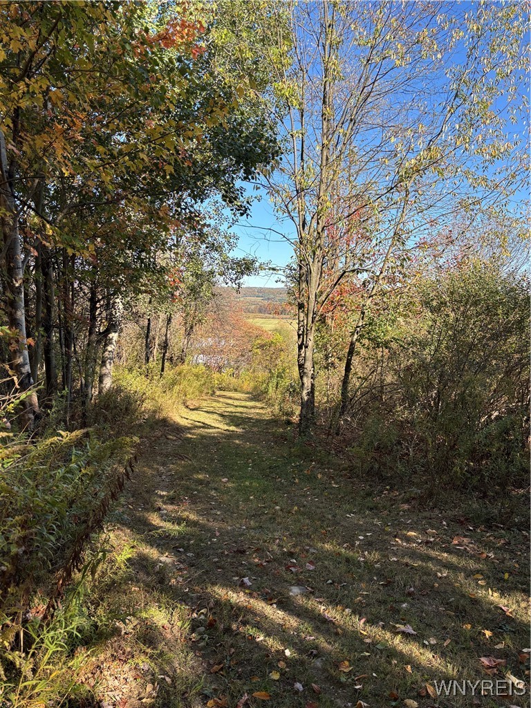 8483 North Otto Road Otto, NY 14719 - Photo 32 of 48