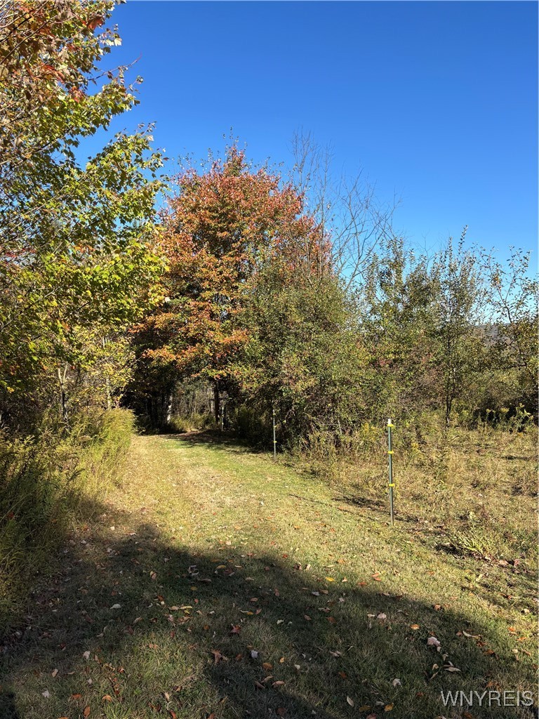 8483 North Otto Road Otto, NY 14719 - Photo 33 of 48