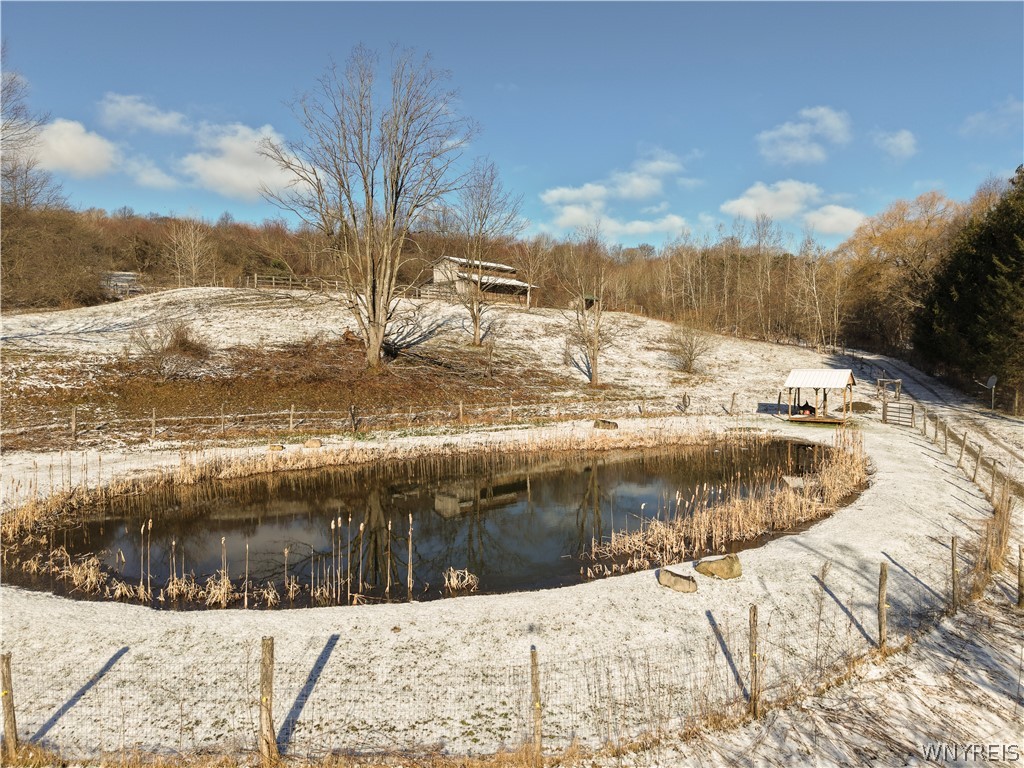 8483 North Otto Road Otto, NY 14719 - Photo 34 of 45