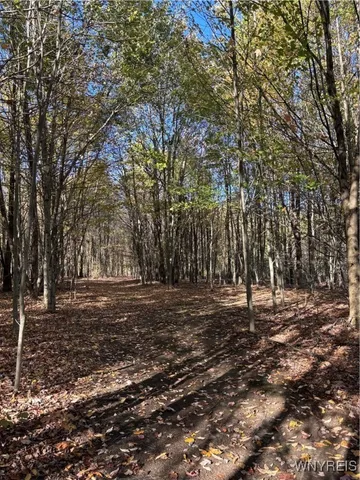 $410,000 | 8483 North Otto Road, Otto, NY 14719