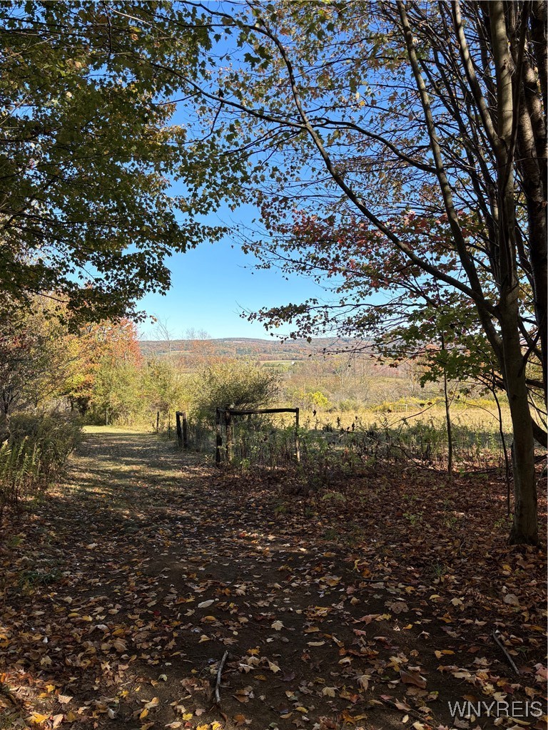 8483 North Otto Road Otto, NY 14719 - Photo 35 of 48