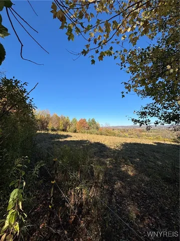 $410,000 | 8483 North Otto Road, Otto, NY 14719