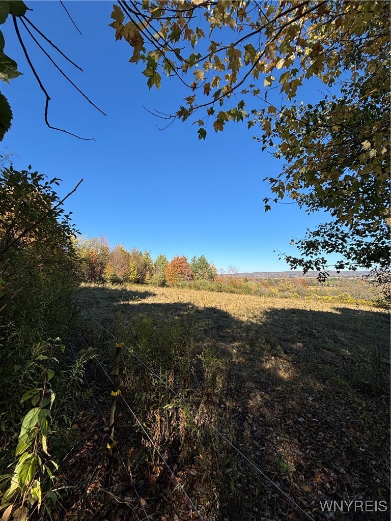 8483 North Otto Road Otto, NY 14719 - Photo 36 of 48