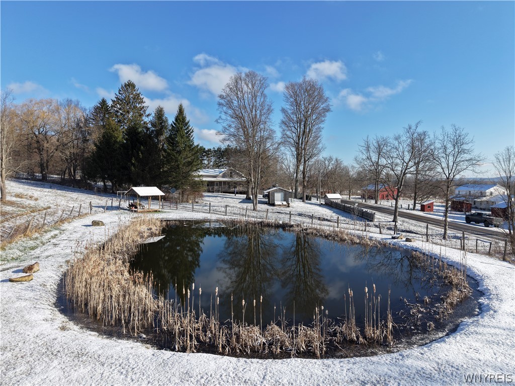8483 North Otto Road Otto, NY 14719 - Photo 36 of 45