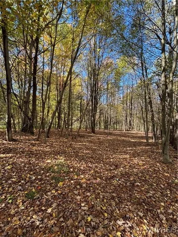 $410,000 | 8483 North Otto Road, Otto, NY 14719